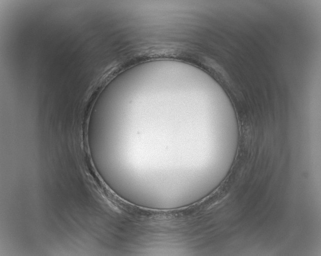 X0000055520729200508120821