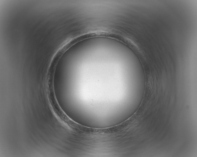 X0000055520730200508120821