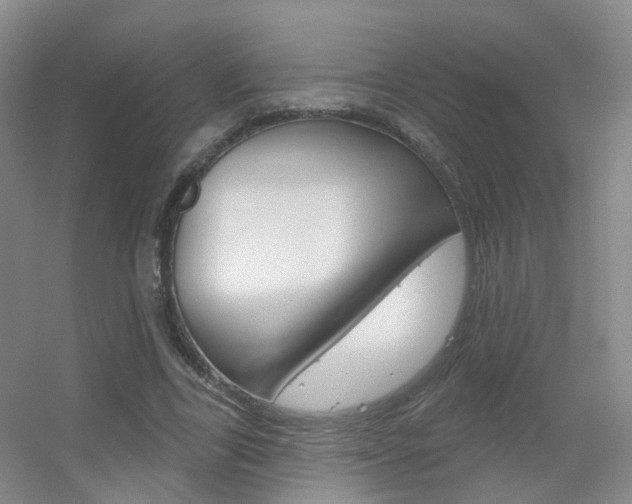 X0000055520731200508120821