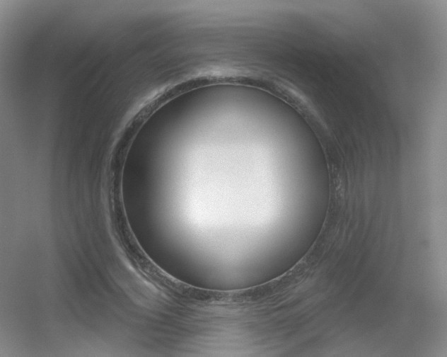 X0000055520732200508120821
