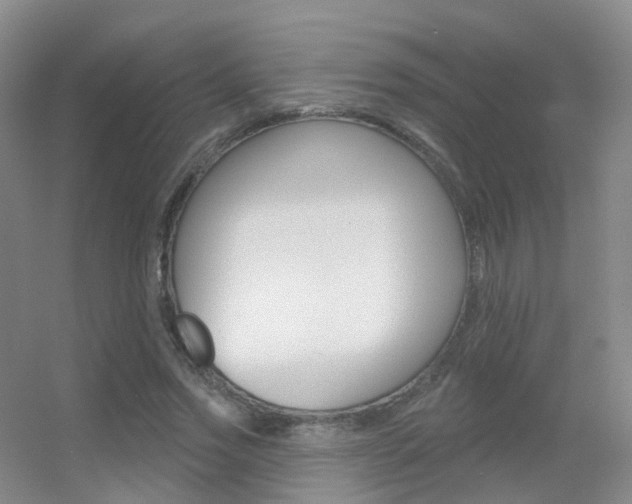 X0000055520733200508120821