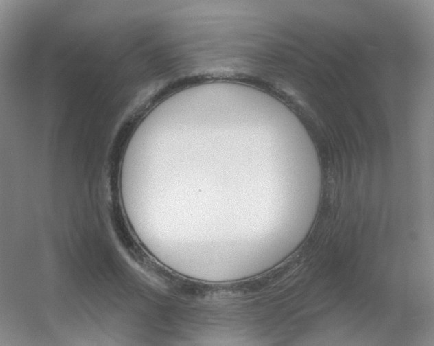 X0000055520734200508120821