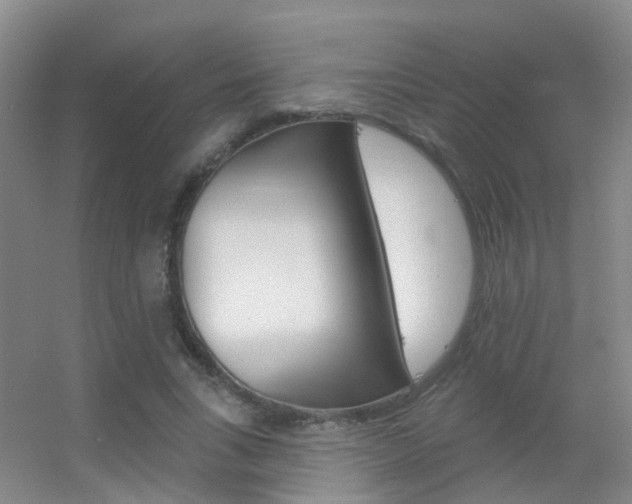 X0000055520735200508120821