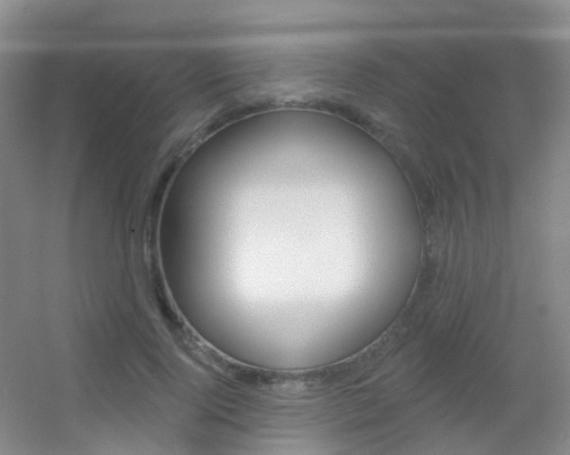 X0000055520740200508120821