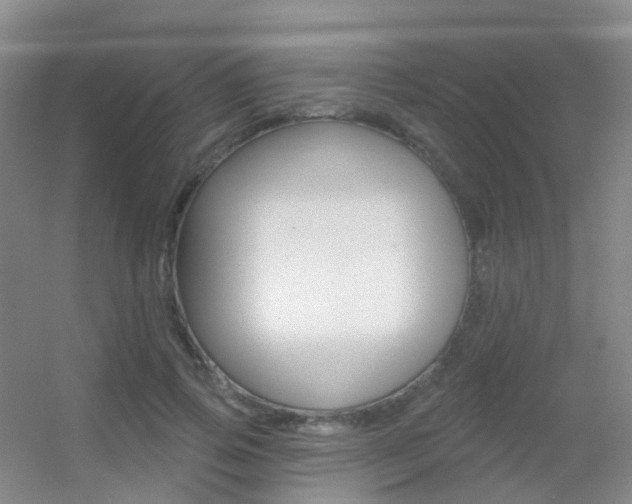 X0000055520741200508120821
