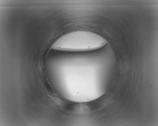 X0000055520747200508120821