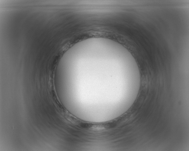X0000055520749200508120821