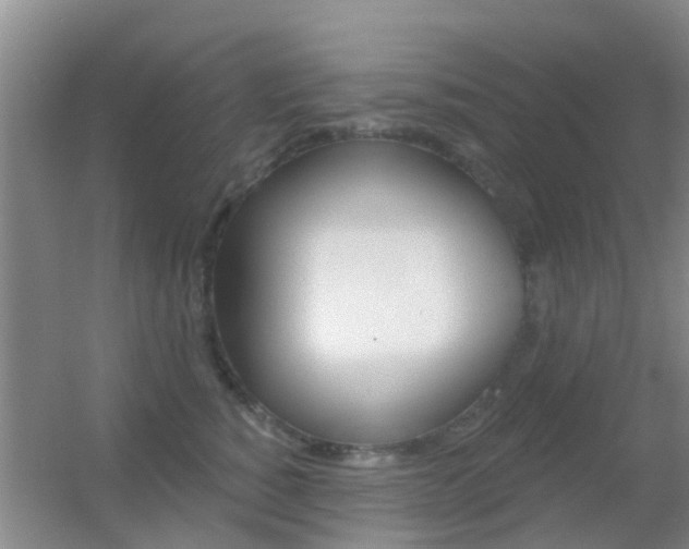 X0000055520760200508120821