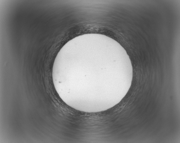 X0000055520769200508120821