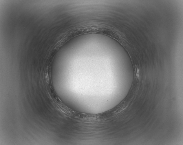 X0000055520771200508120821
