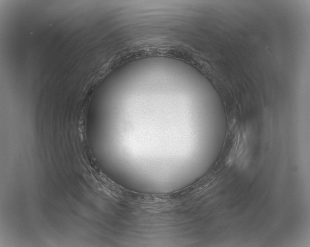 X0000055520772200508120821