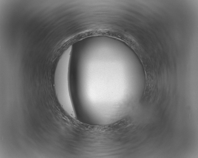 X0000055520773200508120821