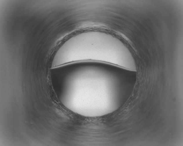 X0000055520775200508120821