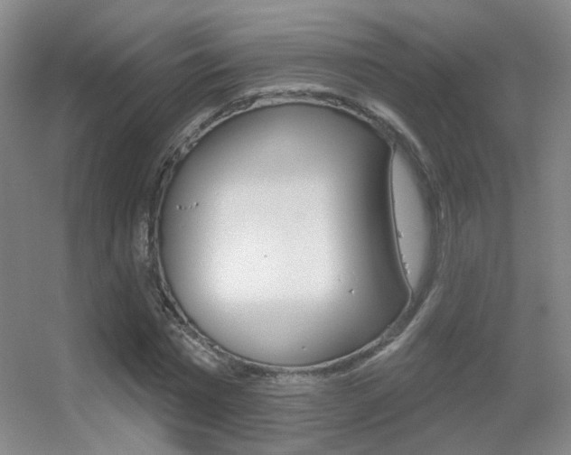X0000055520777200508120821