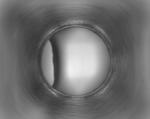 X0000055520778200508120821