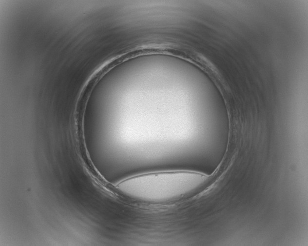 X0000055520779200508120821