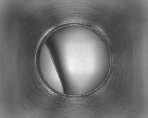 X0000055520780200508120821