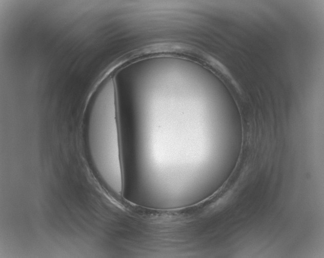X0000055520786200508120820