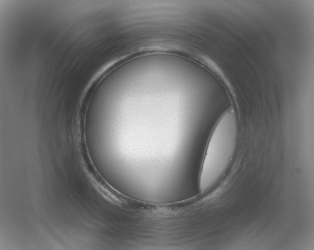 X0000055520787200508120820
