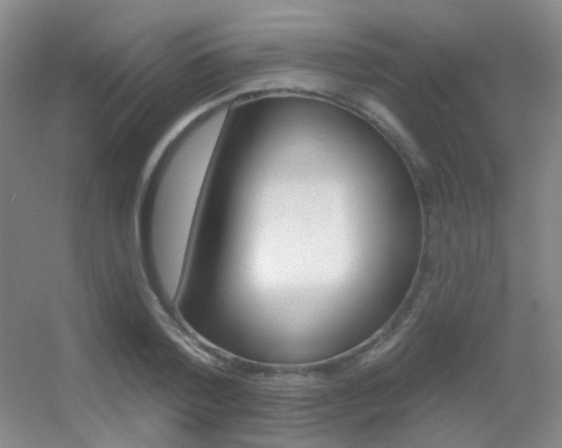 X0000055520788200508120820