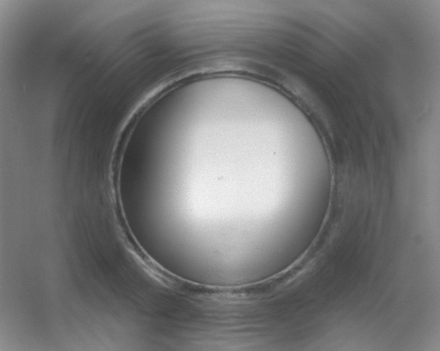 X0000055520789200508120820