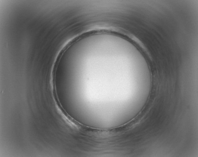 X0000055520791200508120820