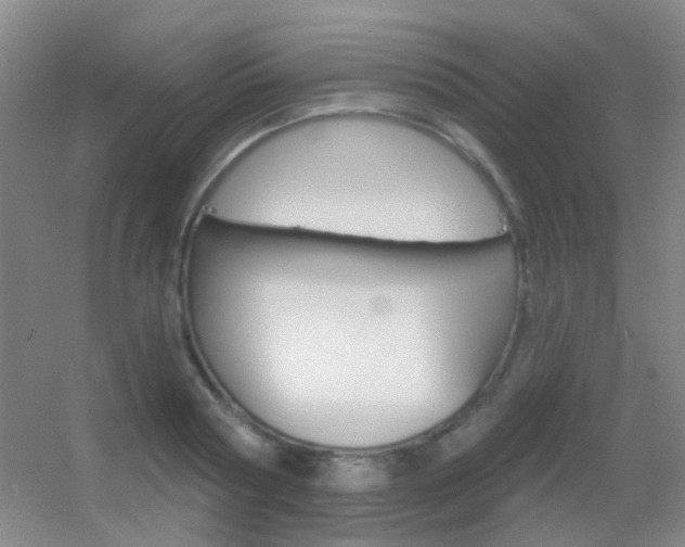X0000055520794200508120820
