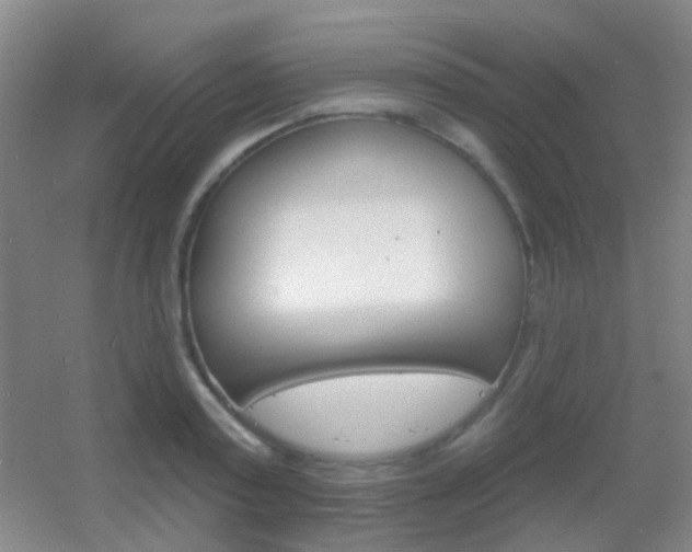 X0000055520795200508120820