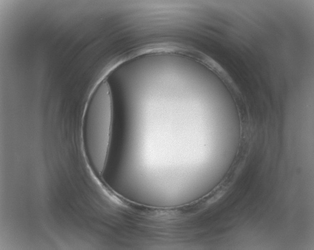 X0000055520802200508120820