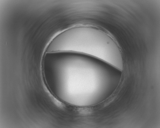 X0000055520803200508120820