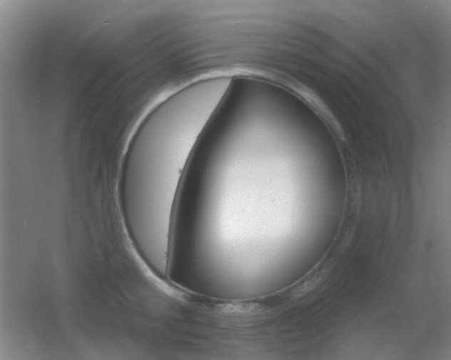 X0000055520805200508120820