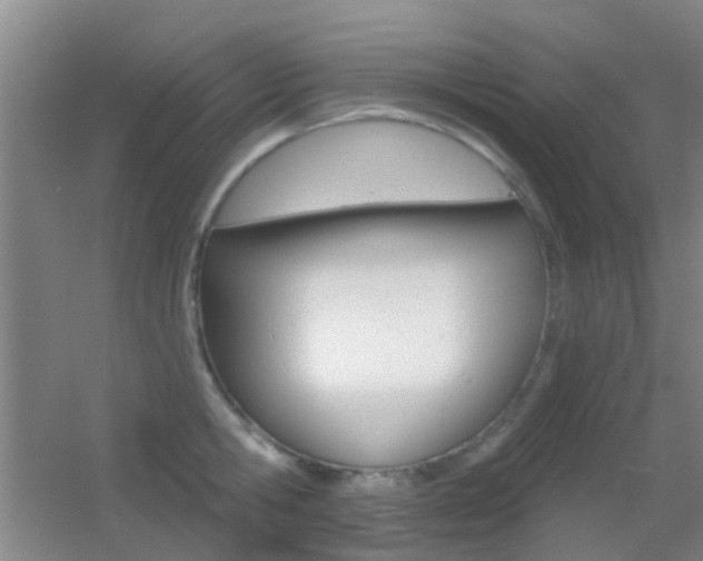 X0000055520806200508120820