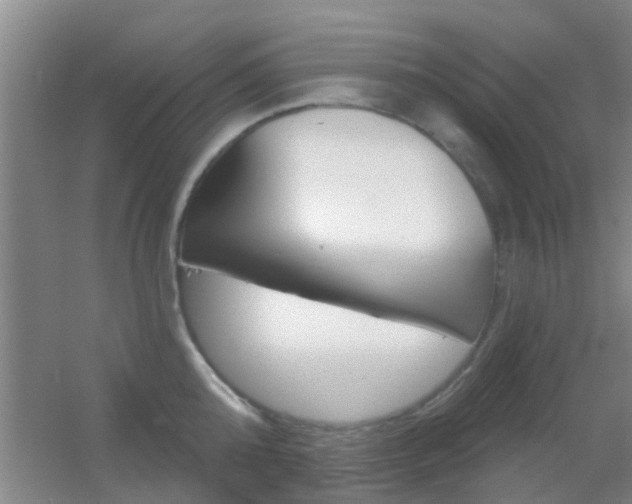 X0000055520808200508120820