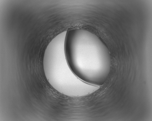 X0000055520818200508120819