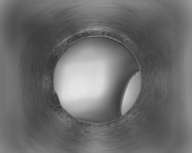 X0000055520821200508120819