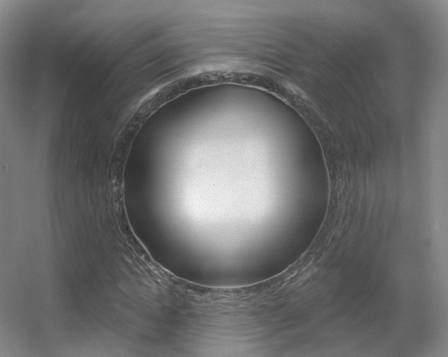 X0000055520822200508120819