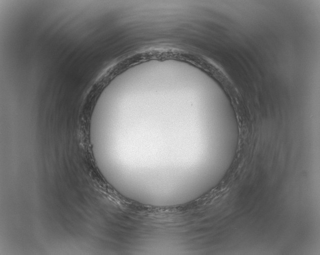 X0000055520823200508120819