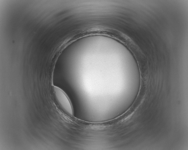 X0000055520825200508120819