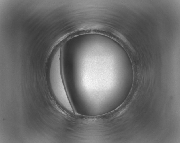 X0000055520826200508120819