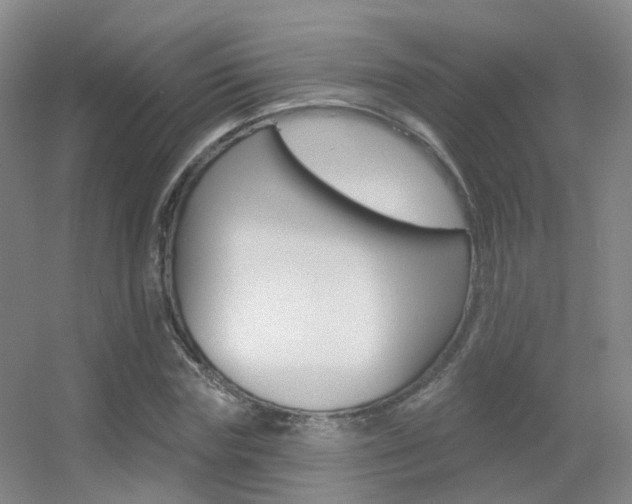X0000055520827200508120819