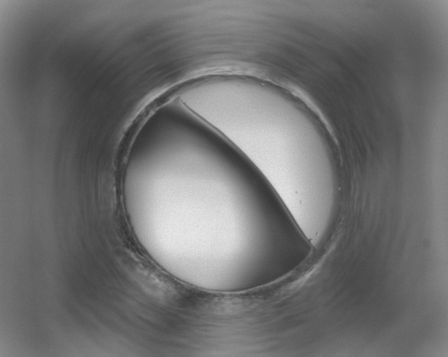 X0000055520829200508120819