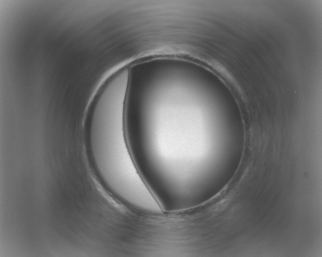 X0000055520838200508120819