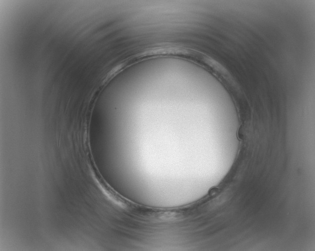 X0000055520841200508120820