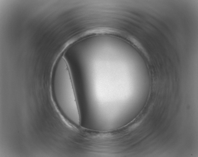 X0000055520845200508120820