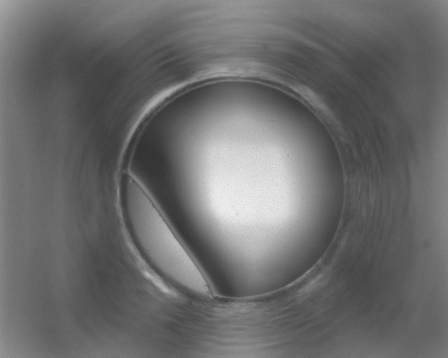 X0000055520846200508120820