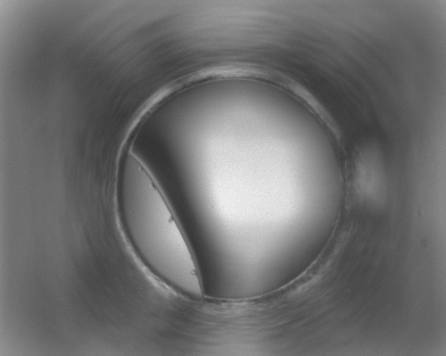 X0000055520853200508120820