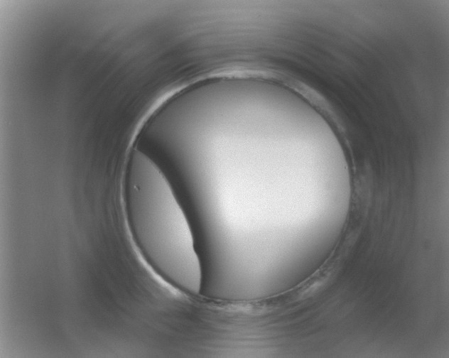 X0000055520855200508120820