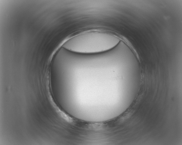 X0000055520859200508120820