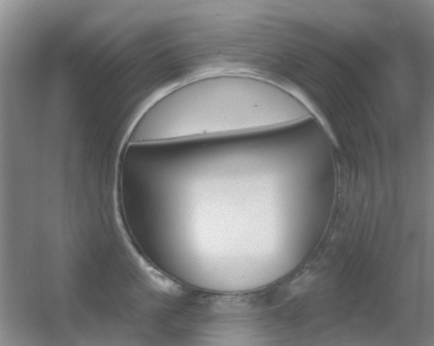 X0000055520861200508120820