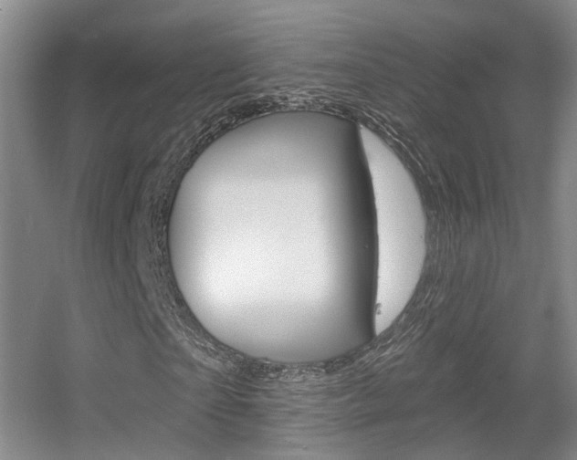 X0000055520865200508120819